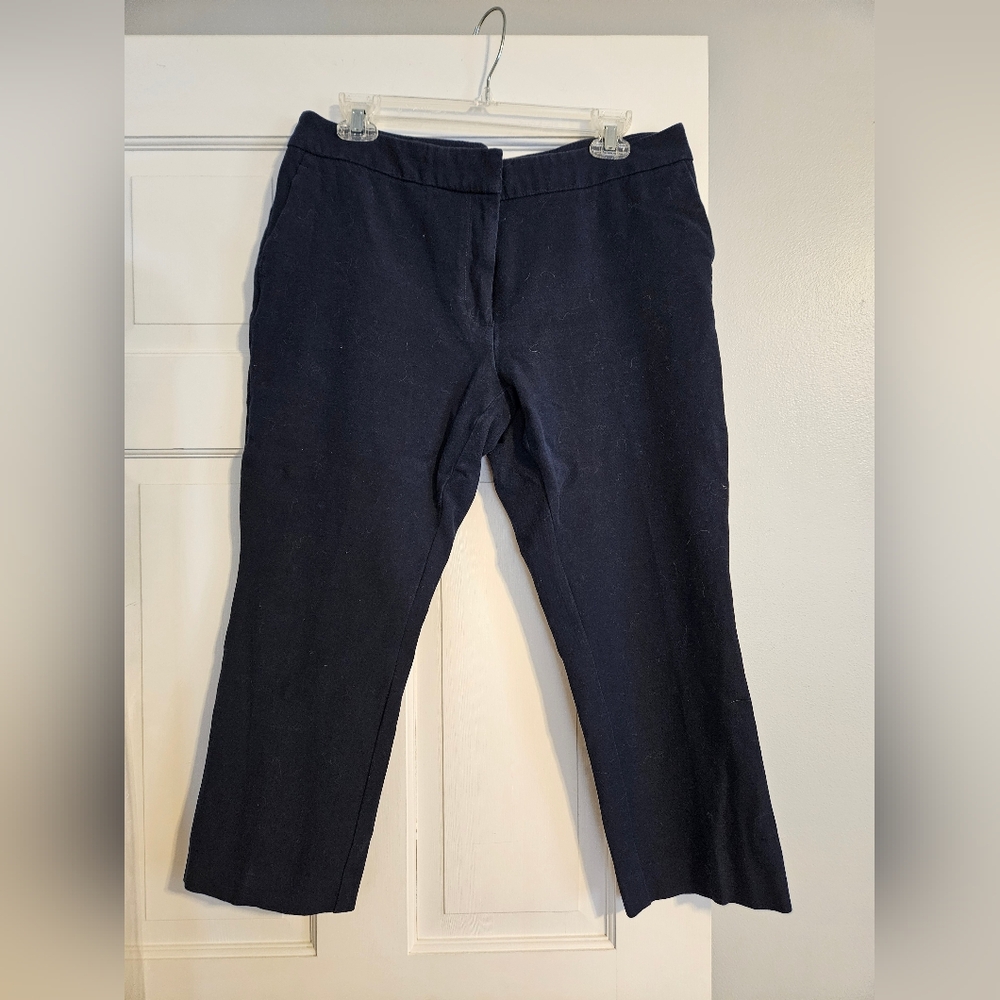 Ann Taylor Navy Crop Pants